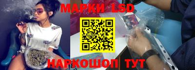индика Ставрополь