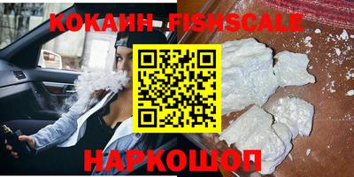 индика Ставрополь
