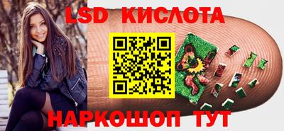 индика Ставрополь