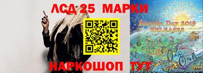 индика Ставрополь
