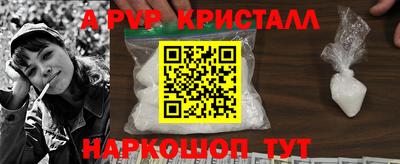 индика Ставрополь