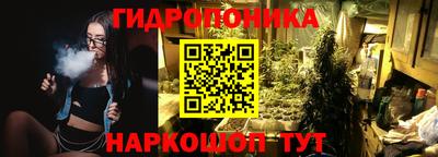 индика Ставрополь