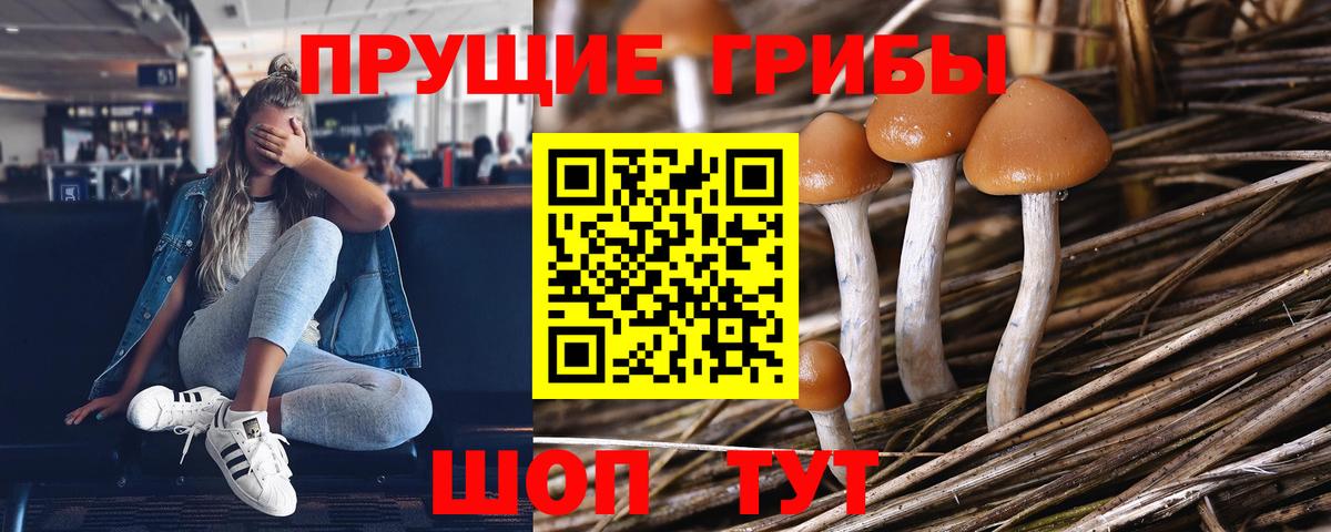как найти закладки  Вход с VPN  Оренбург  Псилоцибиновые грибы ЛСД 