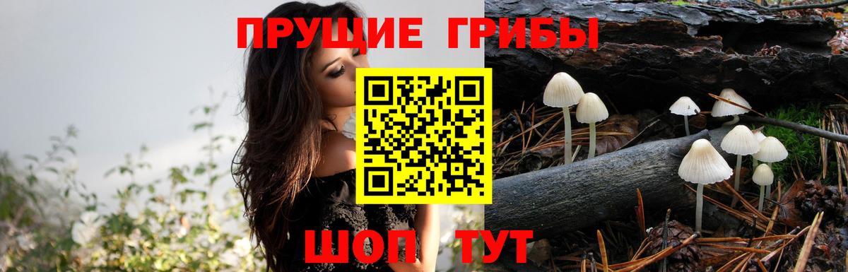 Галлюциногенные грибы мухоморы Оренбург